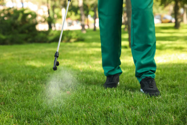 Professional Pest Control in Taylors Falls, MN