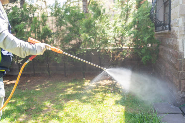 Best Mosquito Control Services  in Taylors Falls, MN