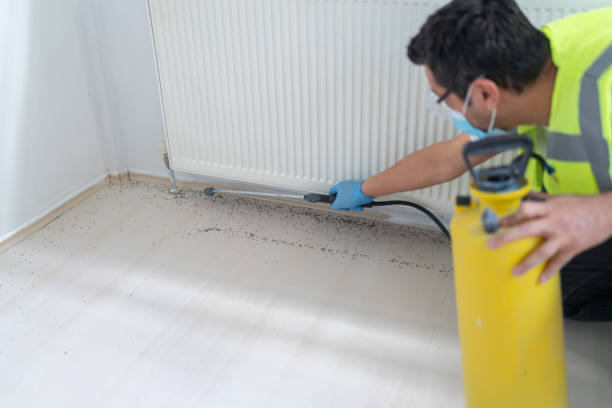 Best Flea Control Services  in Taylors Falls, MN